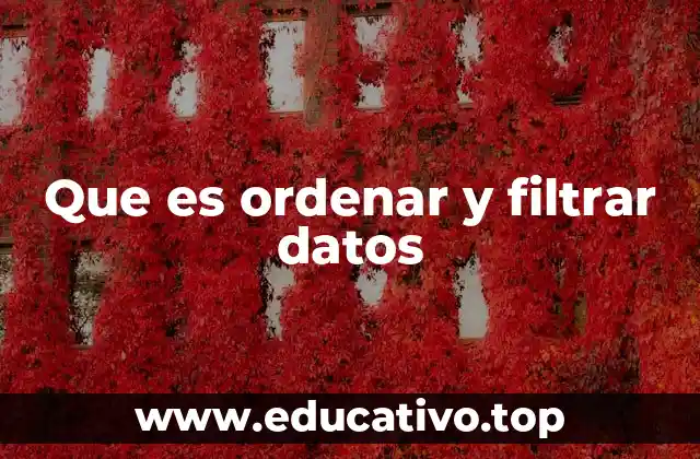 Que es ordenar y filtrar datos