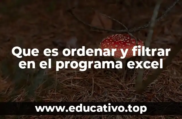 Que es ordenar y filtrar en el programa excel