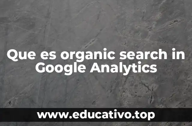 Que es organic search in Google Analytics