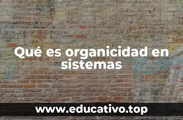 Qué es organicidad en sistemas