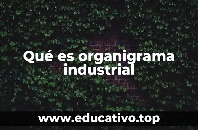 Qué es organigrama industrial
