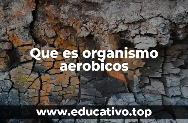 Que es organismo aerobicos