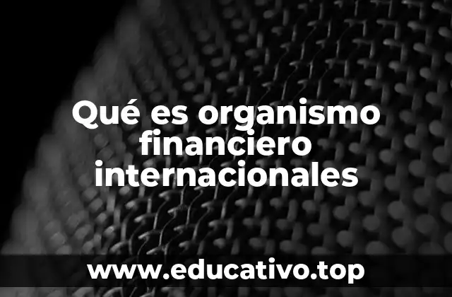 Qué es organismo financiero internacionales