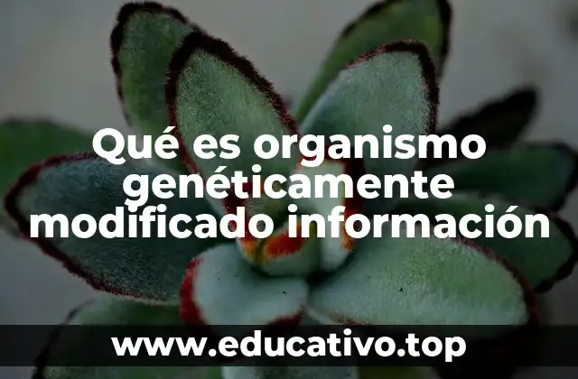 Qué es organismo genéticamente modificado información