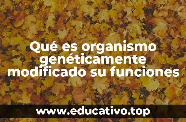 Qué es organismo genéticamente modificado su funciones