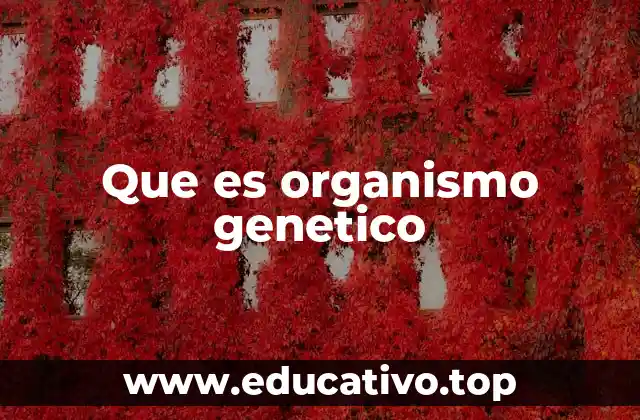 Que es organismo genetico