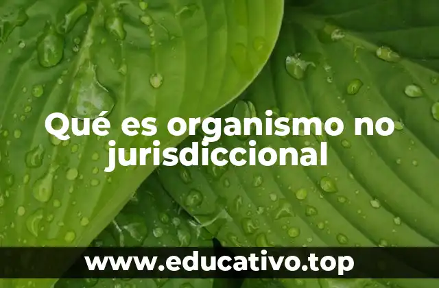 Qué es organismo no jurisdiccional