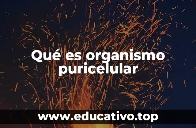 Qué es organismo puricelular