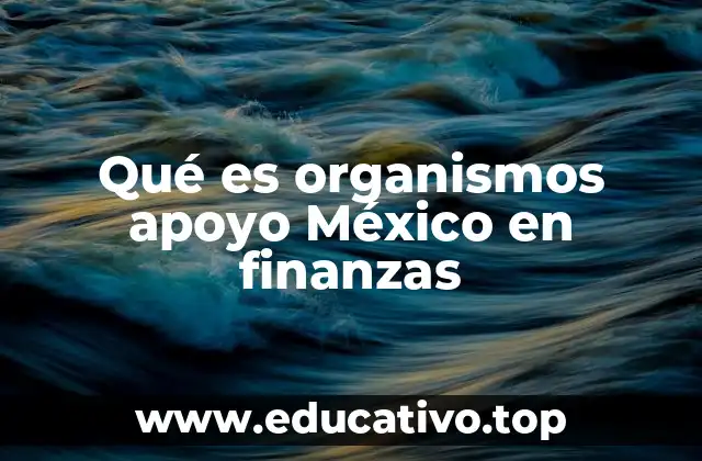 Qué es organismos apoyo México en finanzas
