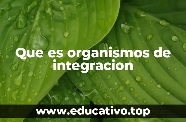 Que es organismos de integracion