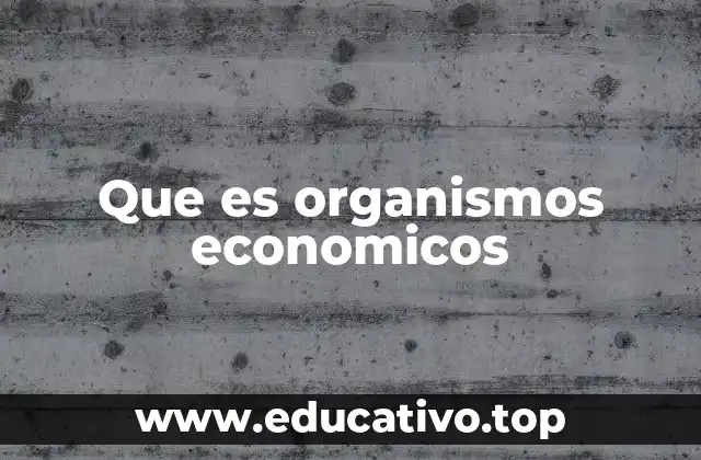 Que es organismos economicos