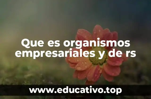 Que es organismos empresariales y de rs