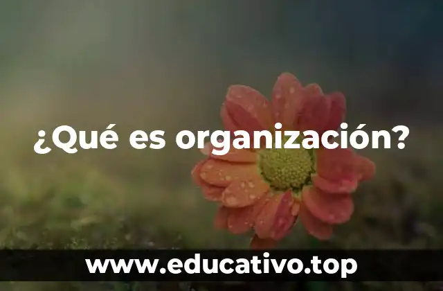 La importancia de estructurar actividades y recursos