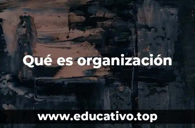 Qué es organización