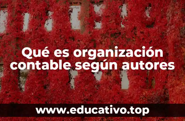 Qué es organización contable según autores