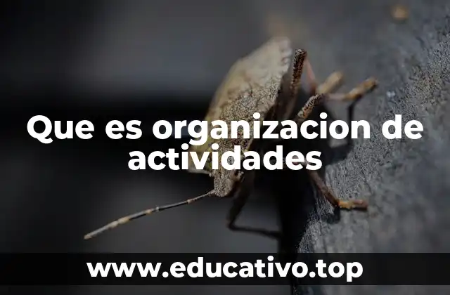 Que es organizacion de actividades