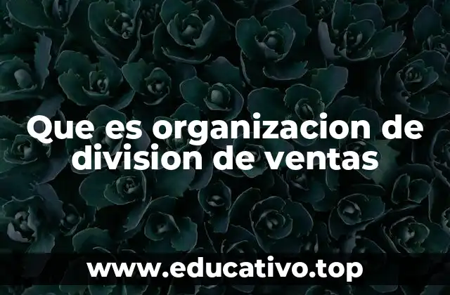 Que es organizacion de division de ventas