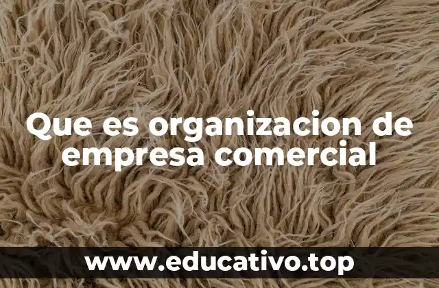 Que es organizacion de empresa comercial