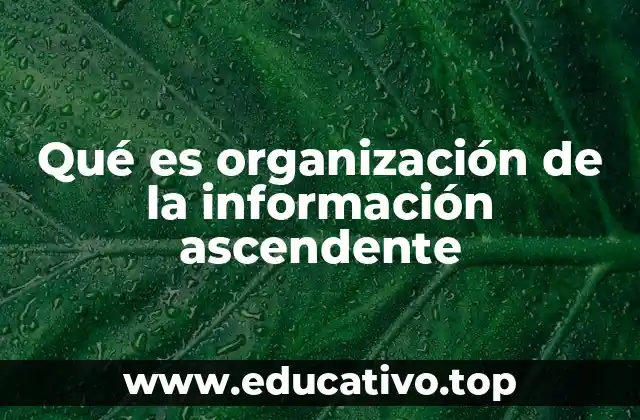 Qué es organización de la información ascendente