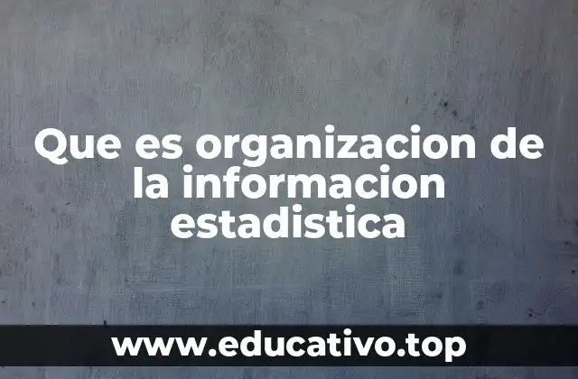 Que es organizacion de la informacion estadistica