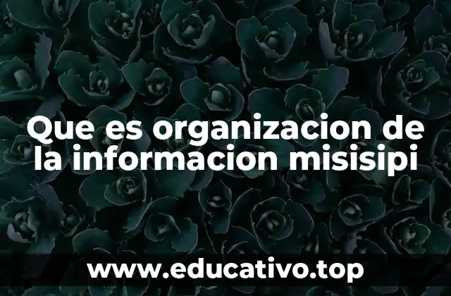 Que es organizacion de la informacion misisipi