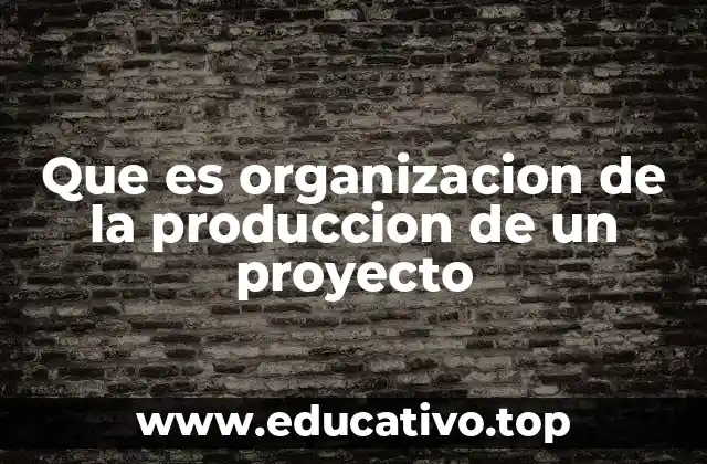 Que es organizacion de la produccion de un proyecto