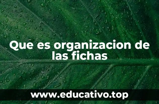 Que es organizacion de las fichas