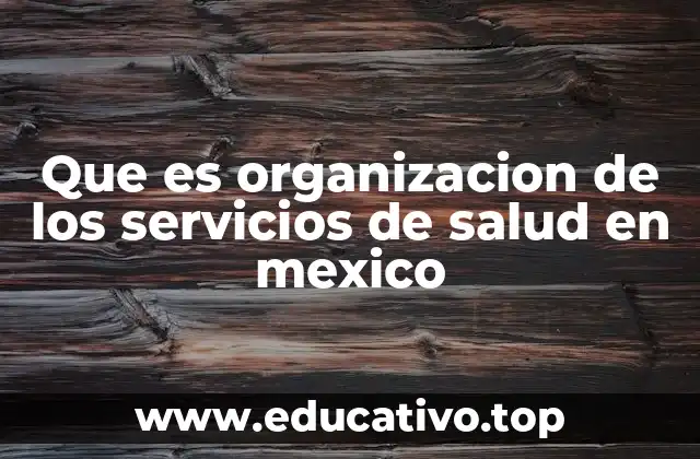 Que es organizacion de los servicios de salud en mexico