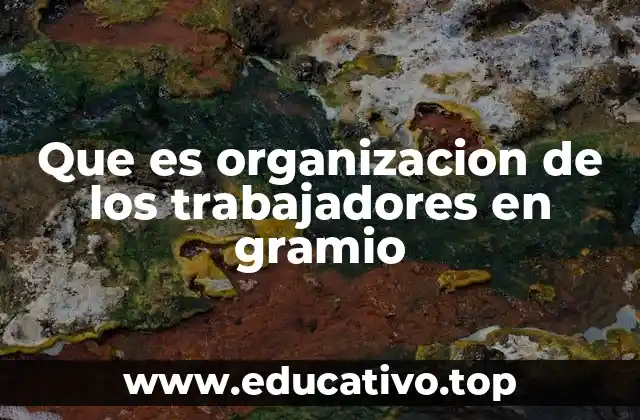 Que es organizacion de los trabajadores en gramio