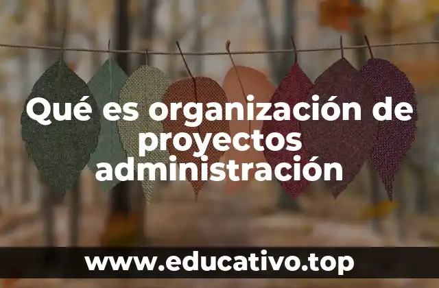 Qué es organización de proyectos administración