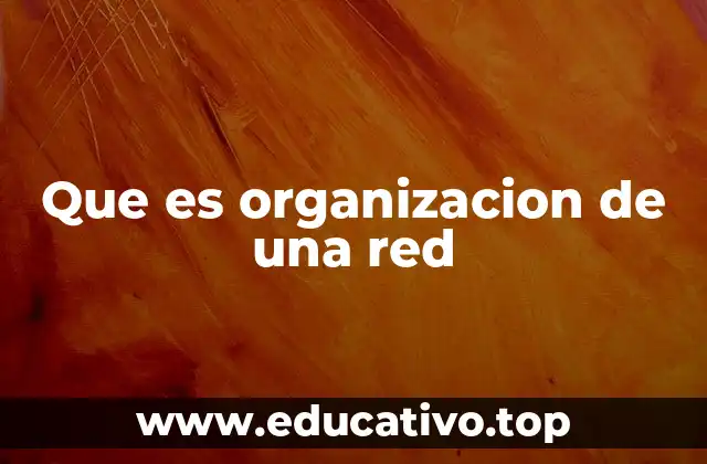 Que es organizacion de una red