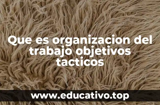 Que es organizacion del trabajo objetivos tacticos