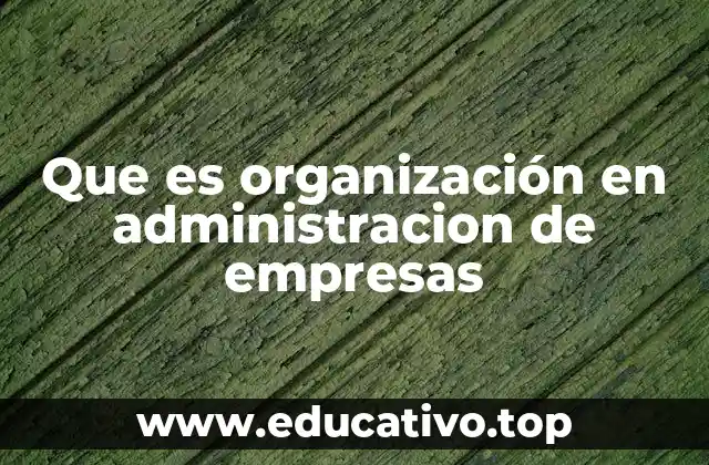 Que es organización en administracion de empresas