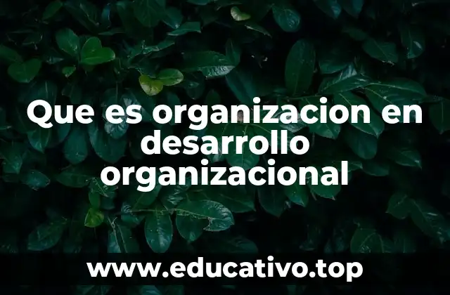 Que es organizacion en desarrollo organizacional