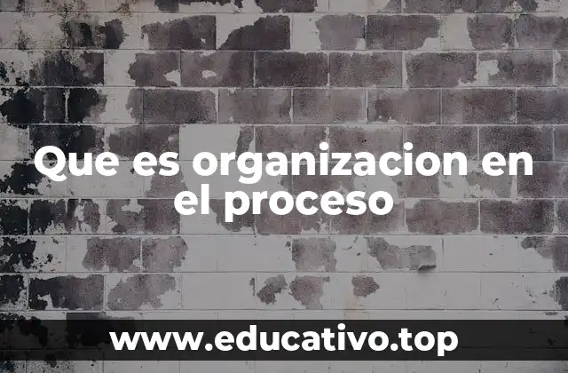 Que es organizacion en el proceso