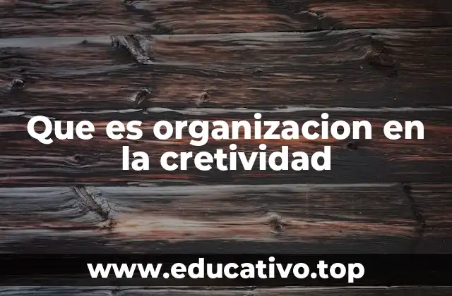 Que es organizacion en la cretividad