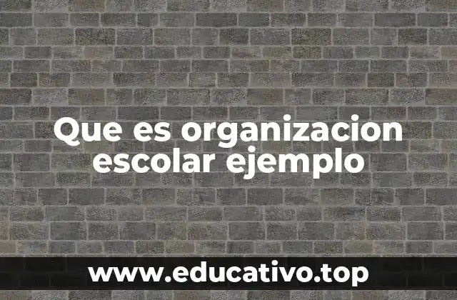 Que es organizacion escolar ejemplo