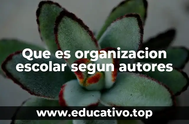 Que es organizacion escolar segun autores