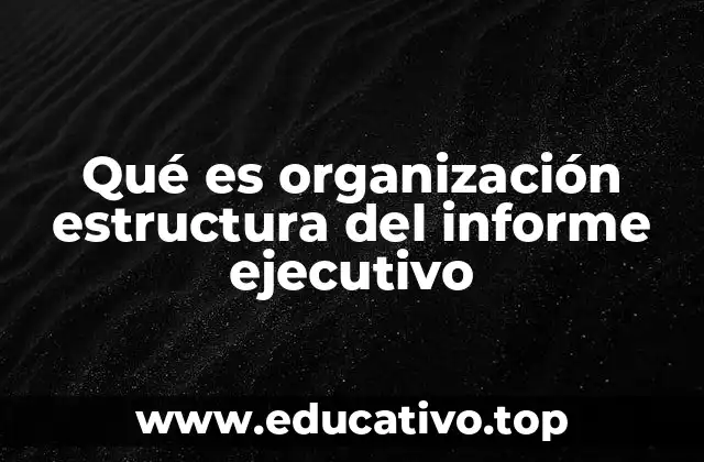 Qué es organización estructura del informe ejecutivo