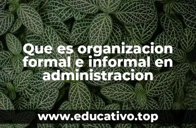 Que es organizacion formal e informal en administracion
