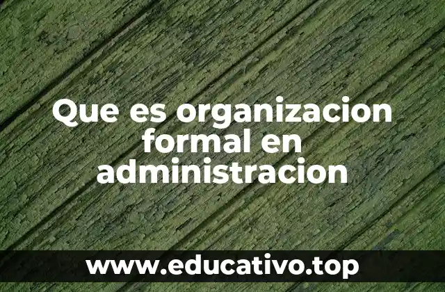Que es organizacion formal en administracion