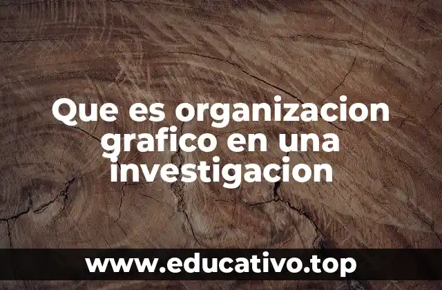 Que es organizacion grafico en una investigacion
