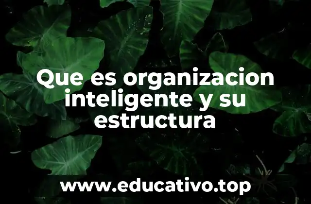 Que es organizacion inteligente y su estructura