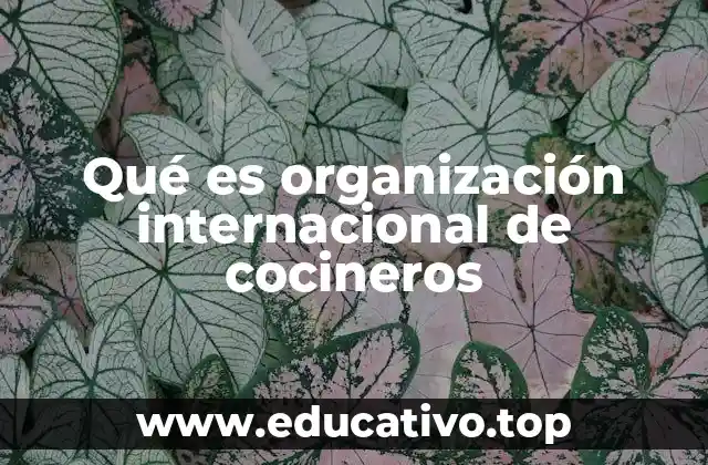Qué es organización internacional de cocineros