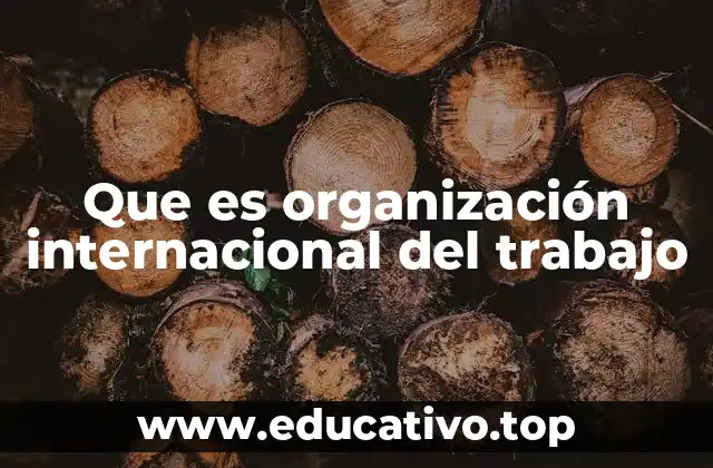 La importancia de una institución laboral global