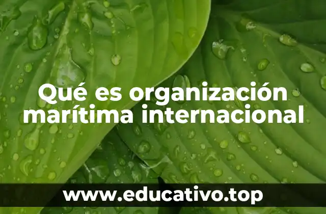 Qué es organización marítima internacional