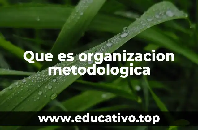 Que es organizacion metodologica