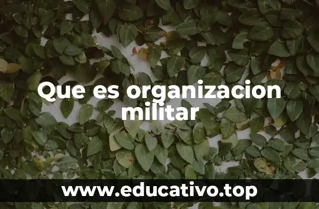 Que es organizacion militar