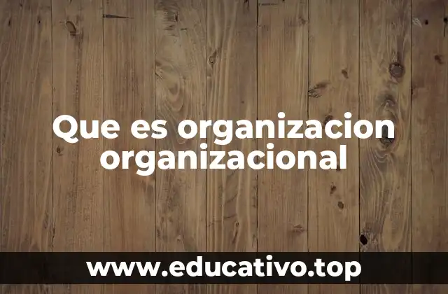 Que es organizacion organizacional