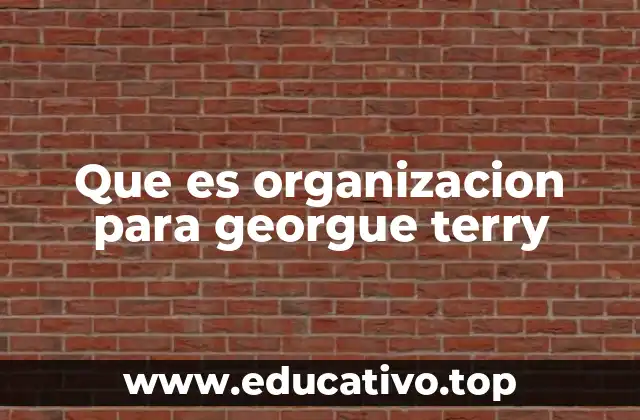 Que es organizacion para georgue terry
